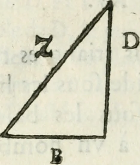 An illustration from L'algebre novvelle de Mr. Viete ..., 1630, leaf 187