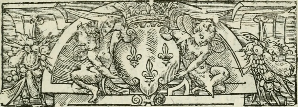 An illustration from L'algebre novvelle de Mr. Viete ..., 1630, leaf 72