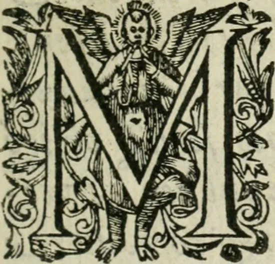 An illustration from L'algebre novvelle de Mr. Viete ..., 1630, leaf 8