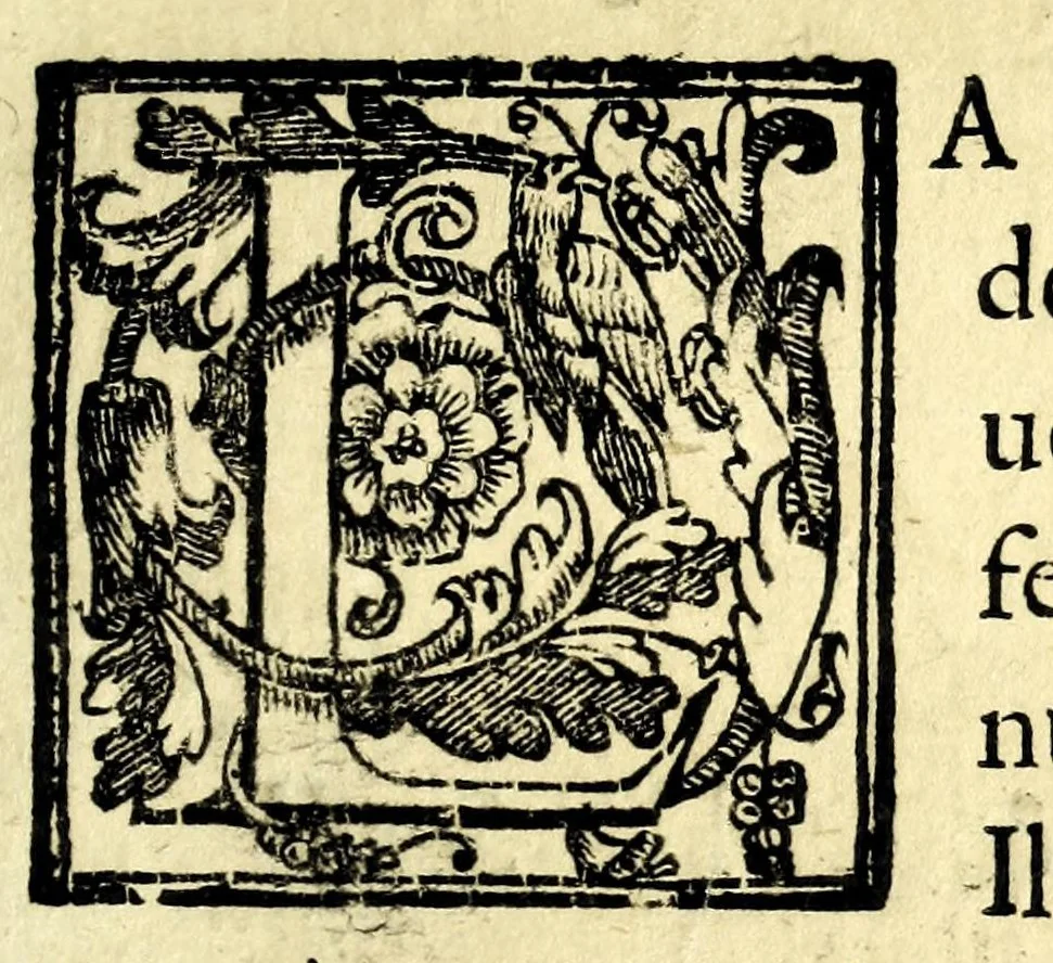 An illustration from La libertà pretesa dal supplice schiauo indiano, 1640, leaf 5