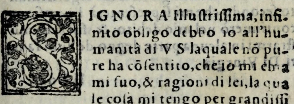 An illustration from La libraria del Doni fiorentino; nella quale sono scritti tutti gli autori volgari, con cento discorsi sopra quelli; tutte le tradottioni fatte dall'altre lingue nella nostra, & vna tauola generale, come si costuma fra librari.., 1551, leaf 131