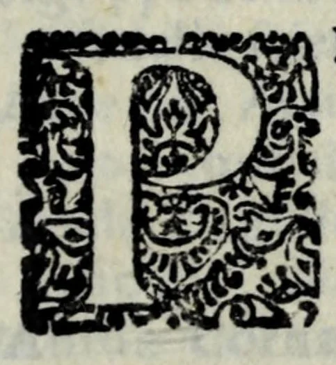 An illustration from La libraria del Doni fiorentino; nella quale sono scritti tutti gli autori volgari, con cento discorsi sopra quelli; tutte le tradottioni fatte dall'altre lingue nella nostra, & vna tauola generale, come si costuma fra librari.., 1551, leaf 139