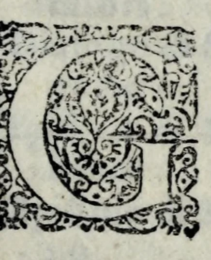 An illustration from La libraria del Doni fiorentino; nella quale sono scritti tutti gli autori volgari, con cento discorsi sopra quelli; tutte le tradottioni fatte dall'altre lingue nella nostra, & vna tauola generale, come si costuma fra librari.., 1551, leaf 155