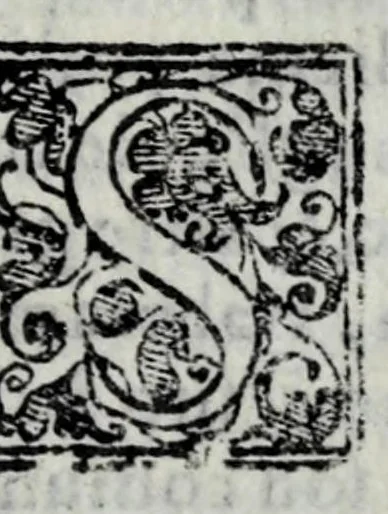 An illustration from La libraria del Doni fiorentino; nella quale sono scritti tutti gli autori volgari, con cento discorsi sopra quelli; tutte le tradottioni fatte dall'altre lingue nella nostra, & vna tauola generale, come si costuma fra librari.., 1551, leaf 207
