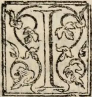 An illustration from L'alicorno. Discorso dell' eccellente medico, et filosofo M. Andrea Bacci; nel quale si tratta della natura dell' alicorno, & delle sue virtù eccellentissime .., 1573, leaf 22