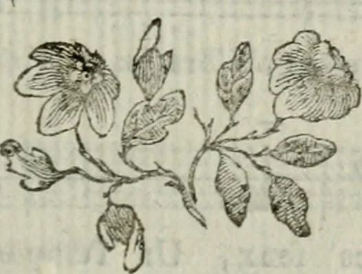 An illustration from La lire maçonne; ou, Recueil de chansons des francs-maçons, 1787, leaf 426