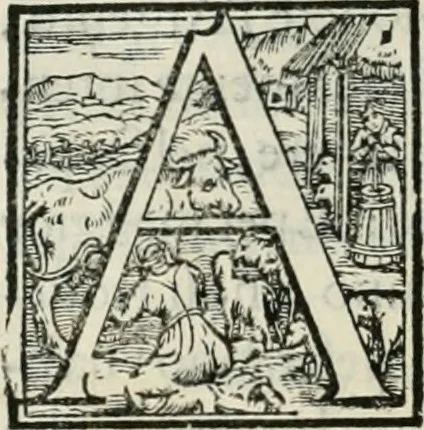 An illustration from L'alitinonfo di m. Gasparo Scaruffi Regiano, per fare ragione, et concordanza d'oro, e d'argento : che seruirà in vniuersale; tanto per prouedere à gli infiniti abusi del tosare, et guastare monete; quanto per regolare ogni sorte di pagamenti, et ridurre anco tutto il mondo ad vna sola moneta, 1582, leaf 55