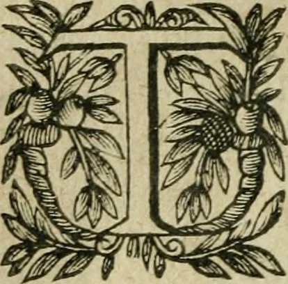 An illustration from La Lvcresse romaine; tragedie, 1637, leaf 13