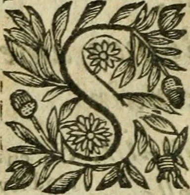 An illustration from La Lvcresse romaine; tragedie, 1637, leaf 29
