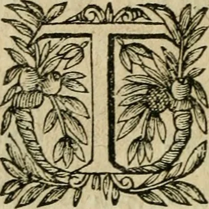 An illustration from La Lvcresse romaine; tragedie, 1637, leaf 87