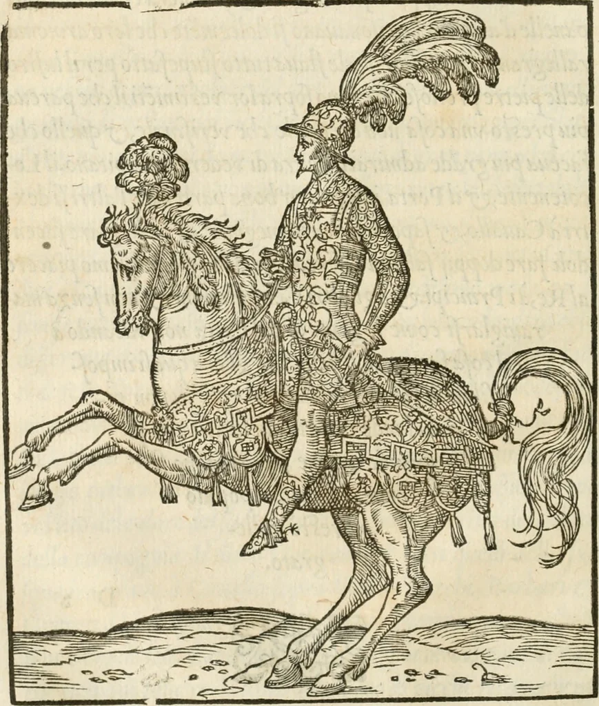 An illustration from La magnifica et trivmphale entrata del Christianiss. re di Francia Henrico secondo di questo nome fatta nella nobile & antiqua Città di Lyone à luy & à la sua serenissima consorte Chaterina alli 21. di septemb. 1548 : colla particulare descritione della commedia che fece recitare la Natione Fiorentina a richiesta di sua Maesta Christianissima, 1549, leaf 35