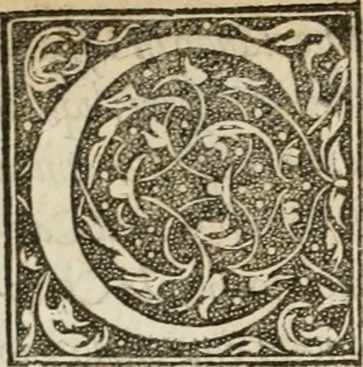 An illustration from La magnifica et trivmphale entrata del Christianiss. re di Francia Henrico secondo di questo nome fatta nella nobile & antiqua Città di Lyone à luy & à la sua serenissima consorte Chaterina alli 21. di septemb. 1548 : colla particulare descritione della commedia che fece recitare la Natione Fiorentina a richiesta di sua Maesta Christianissima, 1549, leaf 36