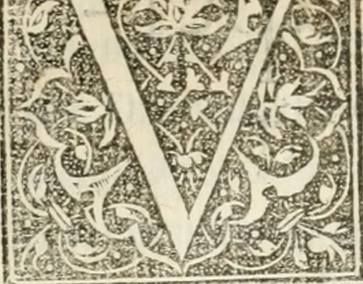 An illustration from La magnifica et trivmphale entrata del Christianiss. re di Francia Henrico secondo di questo nome fatta nella nobile & antiqua Città di Lyone à luy & à la sua serenissima consorte Chaterina alli 21. di septemb. 1548 : colla particulare descritione della commedia che fece recitare la Natione Fiorentina a richiesta di sua Maesta Christianissima, 1549, leaf 57
