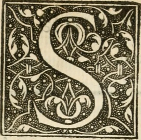 An illustration from La magnifica et trivmphale entrata del Christianiss. re di Francia Henrico secondo di questo nome fatta nella nobile & antiqua Città di Lyone à luy & à la sua serenissima consorte Chaterina alli 21. di septemb. 1548 : colla particulare descritione della commedia che fece recitare la Natione Fiorentina a richiesta di sua Maesta Christianissima, 1549, leaf 71