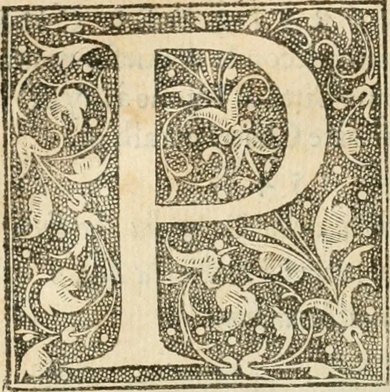 An illustration from La magnifica et trivmphale entrata del Christianiss. re di Francia Henrico secondo di questo nome fatta nella nobile & antiqua Città di Lyone à luy & à la sua serenissima consorte Chaterina alli 21. di septemb. 1548 : colla particulare descritione della commedia che fece recitare la Natione Fiorentina a richiesta di sua Maesta Christianissima, 1549, leaf 9