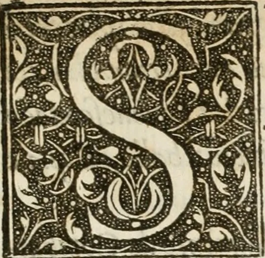 An illustration from La magnifica et trivmphale entrata del Christianiss. re di Francia Henrico secondo di questo nome fatta nella nobile & antiqua Città di Lyone à luy & à la sua serenissima consorte Chaterina alli 21. di septemb. 1548 : colla particulare descritione della commedia che fece recitare la Natione Fiorentina a richiesta di sua Maesta Christianissima, 1549, leaf 92