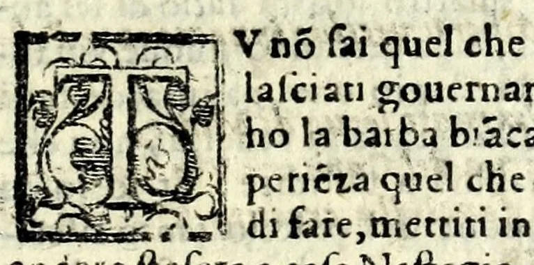 An illustration from L'amante furioso : comedia, 1597, leaf 21