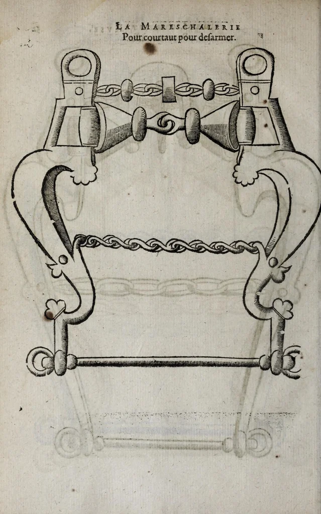 An illustration from La mareschalerie, 1610, leaf 84