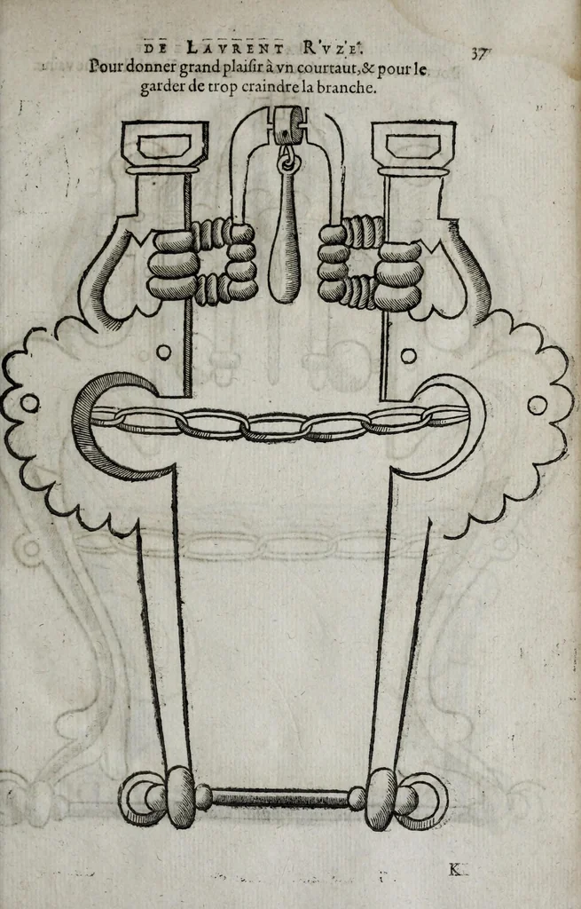 An illustration from La mareschalerie, 1610, leaf 93