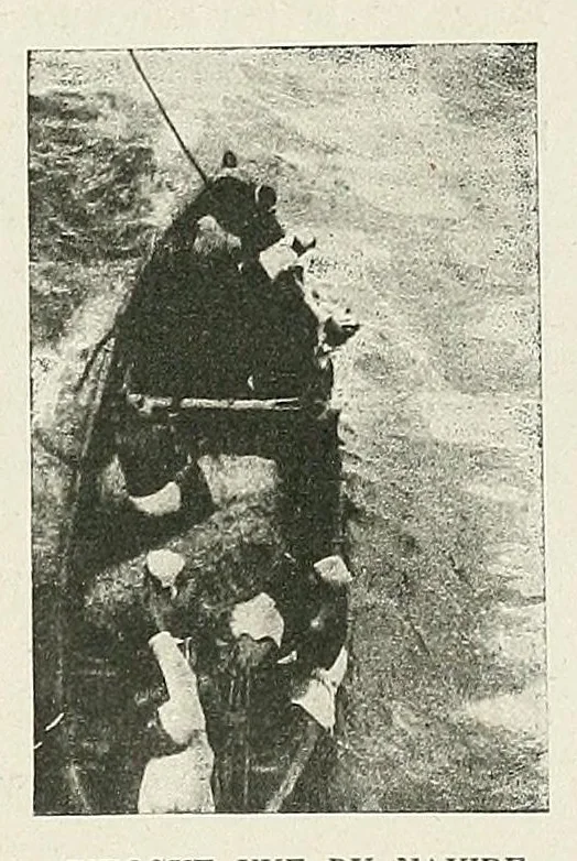 An illustration from La marine au Dahomey : campagne de "La Naiade" (1890-1892), 1901, leaf 135