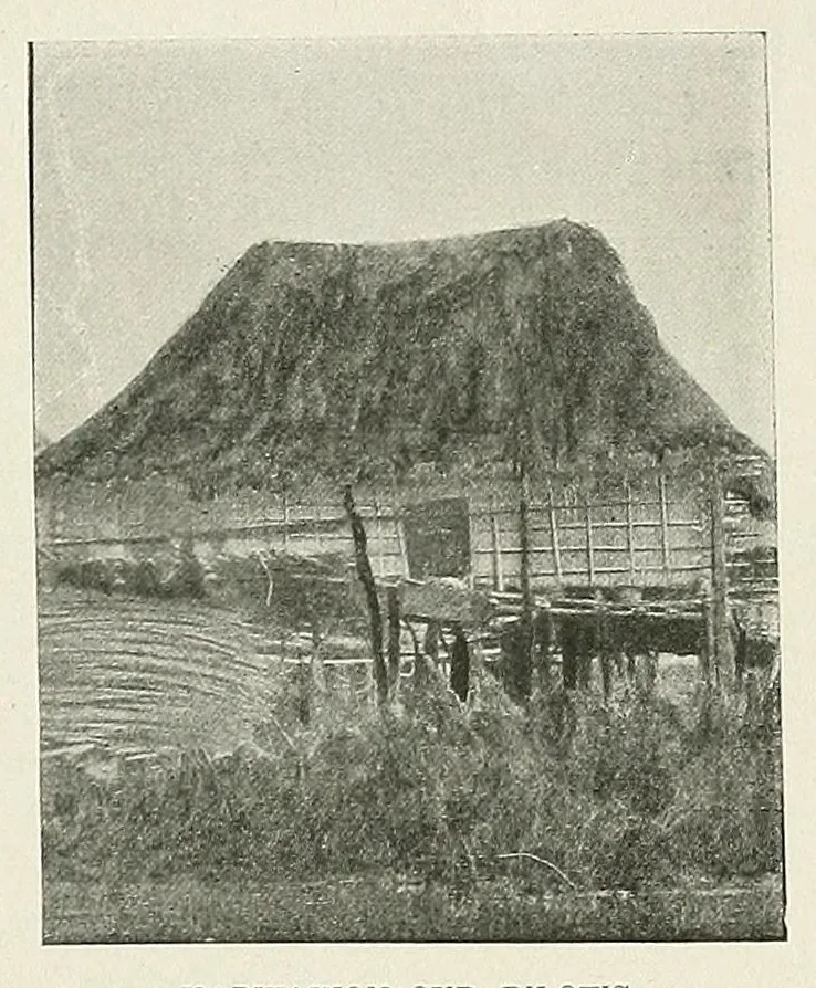 An illustration from La marine au Dahomey : campagne de "La Naiade" (1890-1892), 1901, leaf 151