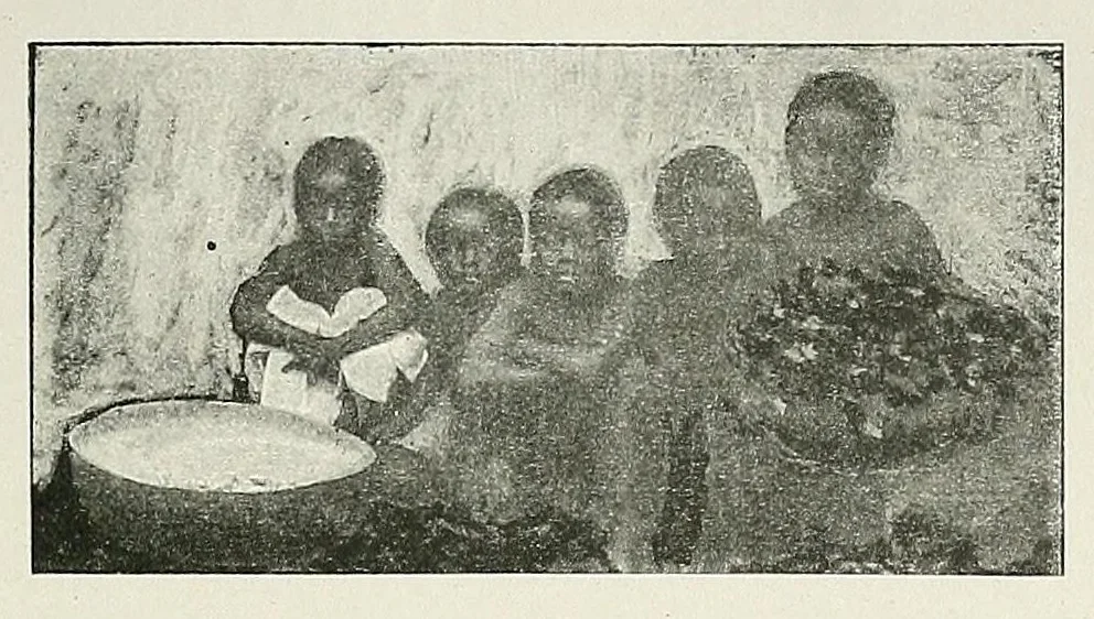 An illustration from La marine au Dahomey : campagne de "La Naiade" (1890-1892), 1901, leaf 213