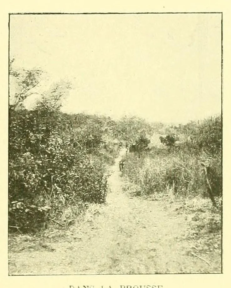 An illustration from La marine au Dahomey : campagne de "La Naiade" (1890-1892), 1901, leaf 311