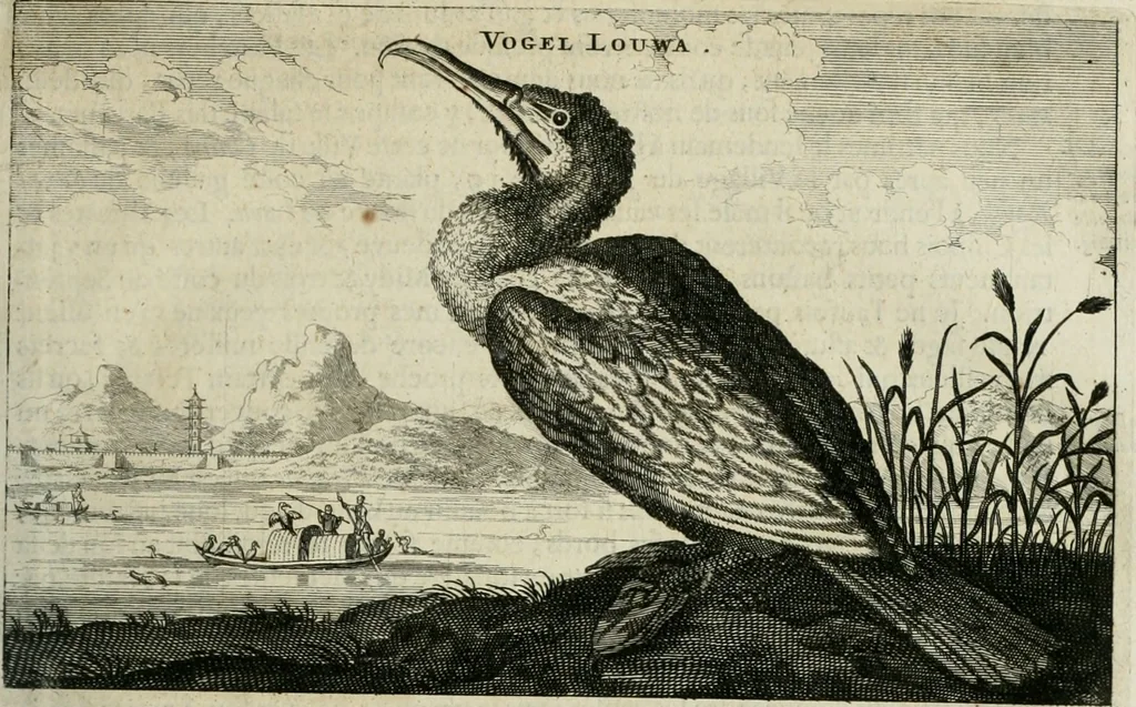 An illustration from L'ambassade de la Compagnie orientale des Provinces Unies vers l'empereur de la Chine, ou grand cam de Tartarie, faite par les Srs. Pierre de Goyer, & Jacob de Keyser, 1665, leaf 246