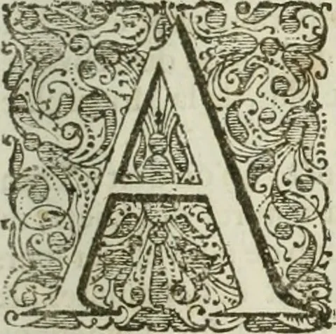 An illustration from L'ambassade de la Compagnie orientale des Provinces Unies vers l'empereur de la Chine, ou grand cam de Tartarie, faite par les Srs. Pierre de Goyer, & Jacob de Keyser, 1665, leaf 380
