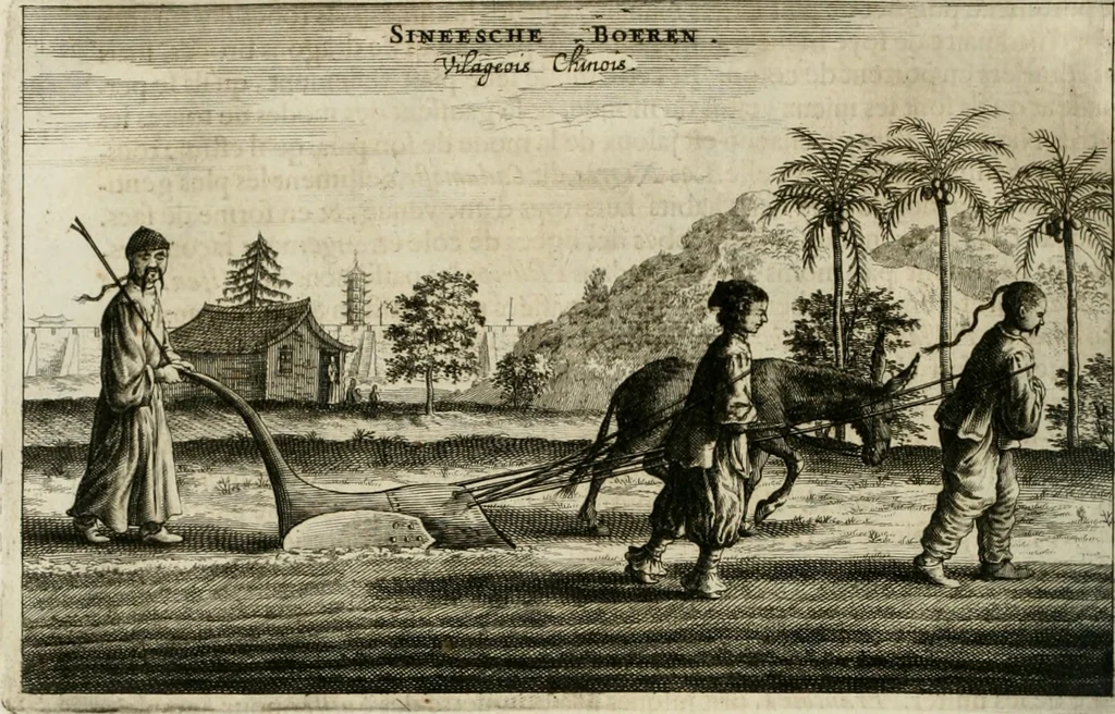 An illustration from L'ambassade de la Compagnie orientale des Provinces Unies vers l'empereur de la Chine, ou grand cam de Tartarie, faite par les Srs. Pierre de Goyer, & Jacob de Keyser, 1665, leaf 429