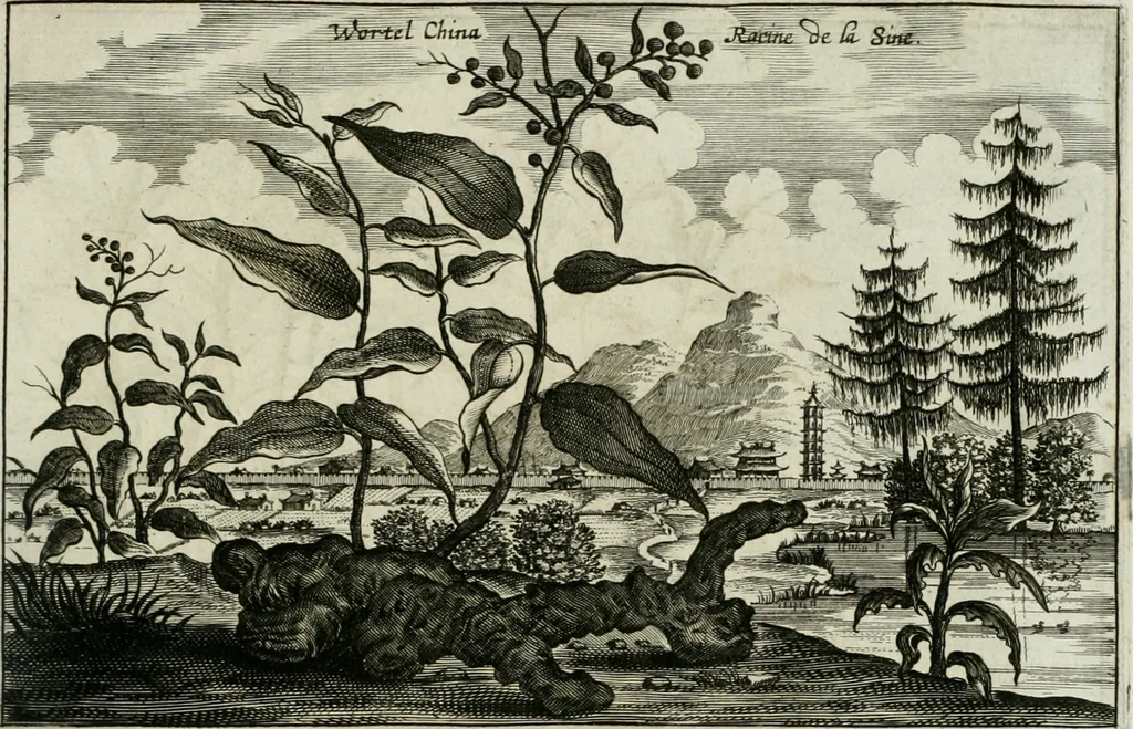 An illustration from L'ambassade de la Compagnie orientale des Provinces Unies vers l'empereur de la Chine, ou grand cam de Tartarie, faite par les Srs. Pierre de Goyer, & Jacob de Keyser, 1665, leaf 452