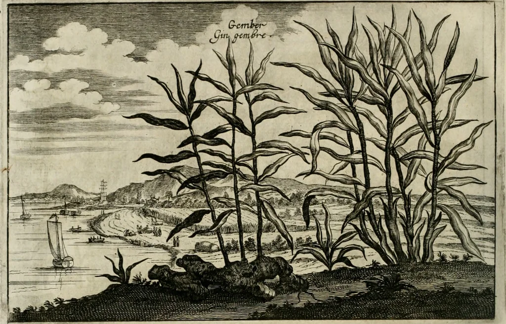 An illustration from L'ambassade de la Compagnie orientale des Provinces Unies vers l'empereur de la Chine, ou grand cam de Tartarie, faite par les Srs. Pierre de Goyer, & Jacob de Keyser, 1665, leaf 453