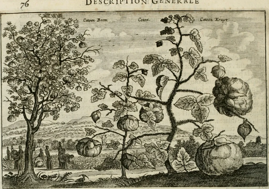 An illustration from L'ambassade de la Compagnie orientale des Provinces Unies vers l'empereur de la Chine, ou grand cam de Tartarie, faite par les Srs. Pierre de Goyer, & Jacob de Keyser, 1665, leaf 457