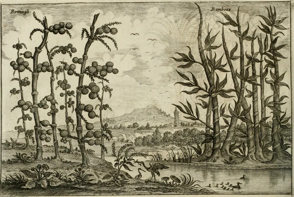 An illustration from L'ambassade de la Compagnie orientale des Provinces Unies vers l'empereur de la Chine, ou grand cam de Tartarie, faite par les Srs. Pierre de Goyer, & Jacob de Keyser, 1665, leaf 461