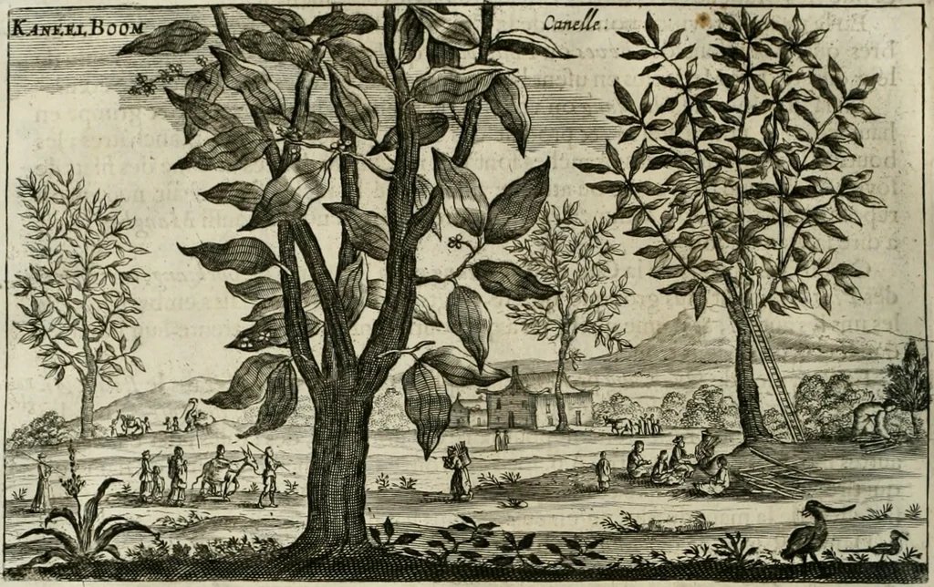 An illustration from L'ambassade de la Compagnie orientale des Provinces Unies vers l'empereur de la Chine, ou grand cam de Tartarie, faite par les Srs. Pierre de Goyer, & Jacob de Keyser, 1665, leaf 463