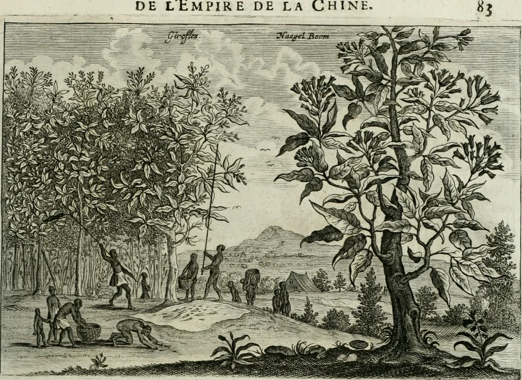 An illustration from L'ambassade de la Compagnie orientale des Provinces Unies vers l'empereur de la Chine, ou grand cam de Tartarie, faite par les Srs. Pierre de Goyer, & Jacob de Keyser, 1665, leaf 464