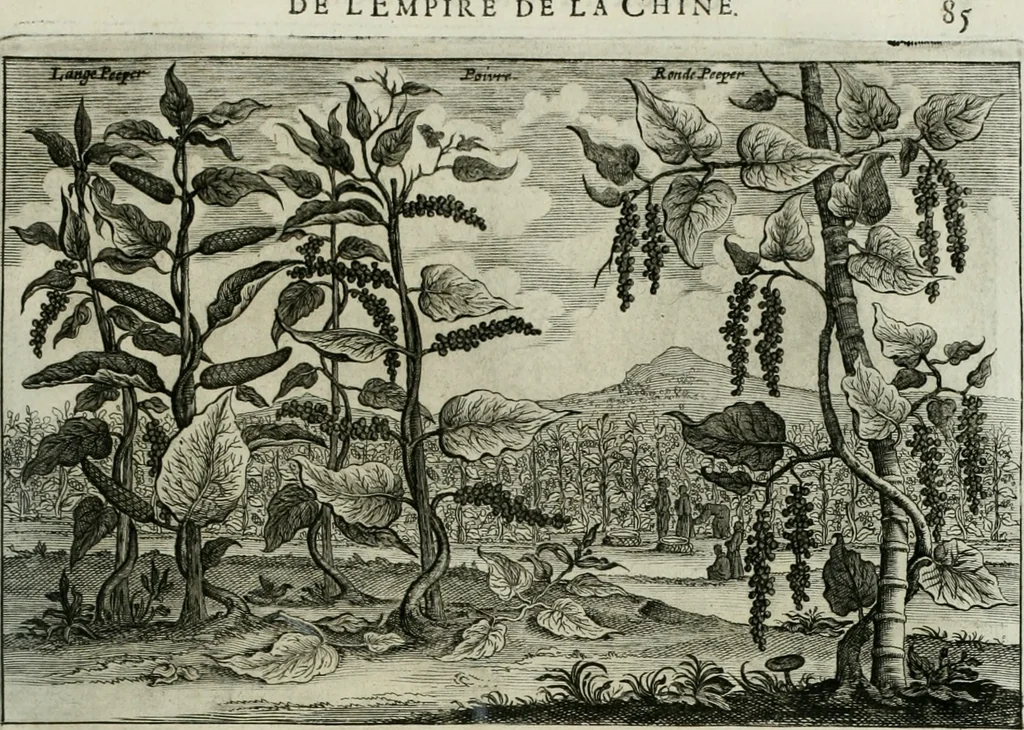 An illustration from L'ambassade de la Compagnie orientale des Provinces Unies vers l'empereur de la Chine, ou grand cam de Tartarie, faite par les Srs. Pierre de Goyer, & Jacob de Keyser, 1665, leaf 466