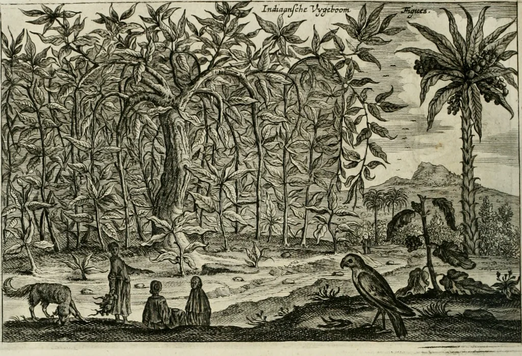 An illustration from L'ambassade de la Compagnie orientale des Provinces Unies vers l'empereur de la Chine, ou grand cam de Tartarie, faite par les Srs. Pierre de Goyer, & Jacob de Keyser, 1665, leaf 467