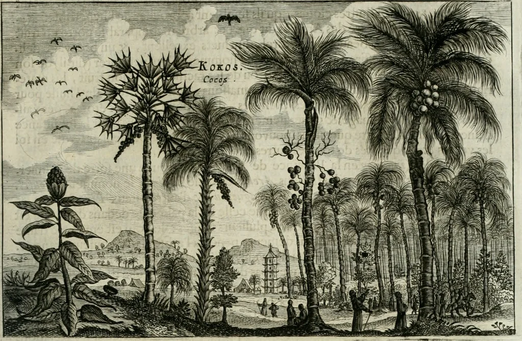 An illustration from L'ambassade de la Compagnie orientale des Provinces Unies vers l'empereur de la Chine, ou grand cam de Tartarie, faite par les Srs. Pierre de Goyer, & Jacob de Keyser, 1665, leaf 468