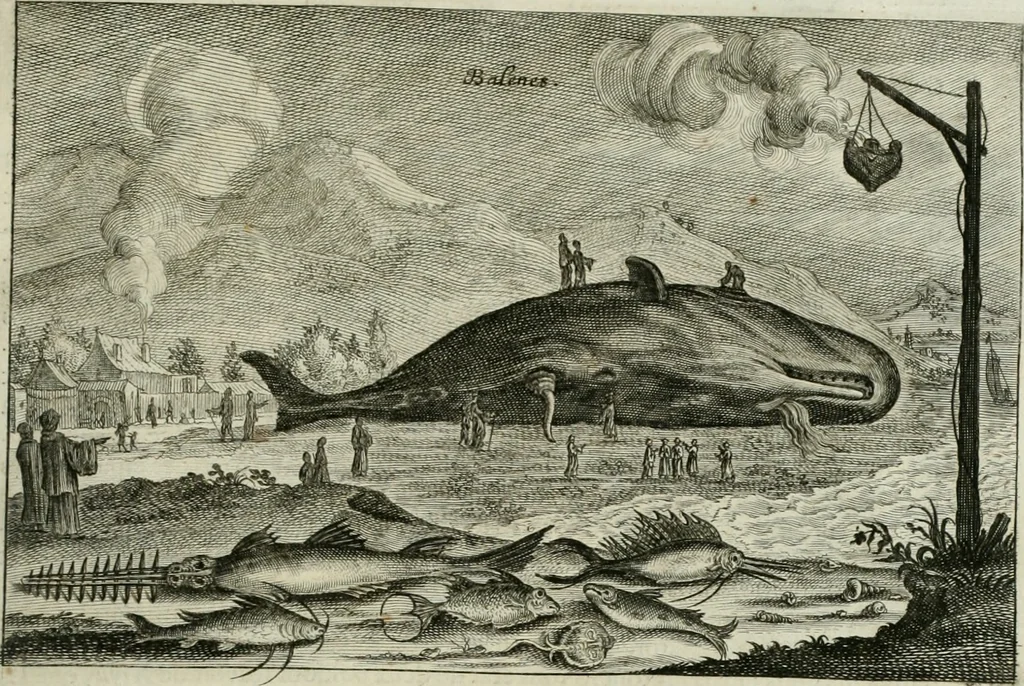 An illustration from L'ambassade de la Compagnie orientale des Provinces Unies vers l'empereur de la Chine, ou grand cam de Tartarie, faite par les Srs. Pierre de Goyer, & Jacob de Keyser, 1665, leaf 482