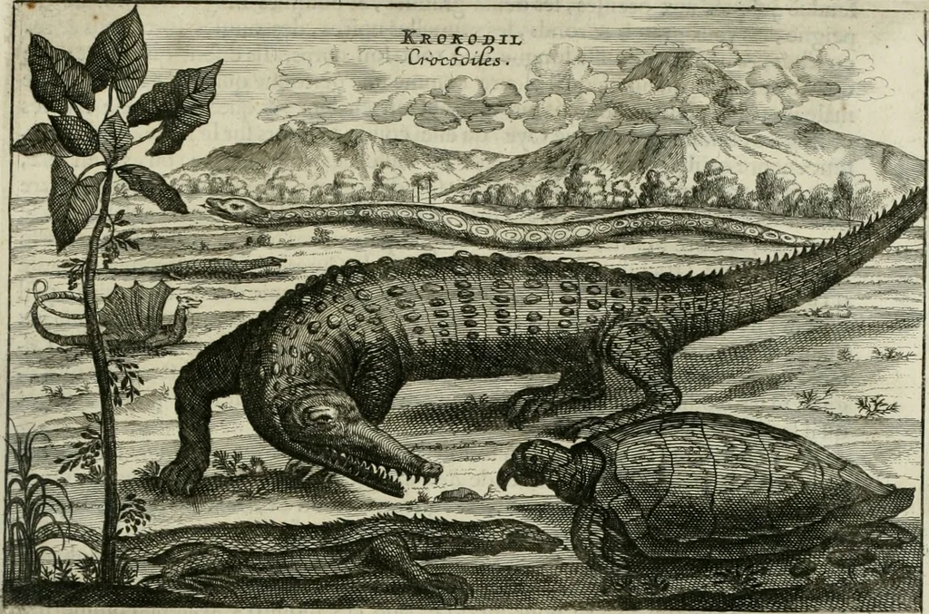 An illustration from L'ambassade de la Compagnie orientale des Provinces Unies vers l'empereur de la Chine, ou grand cam de Tartarie, faite par les Srs. Pierre de Goyer, & Jacob de Keyser, 1665, leaf 484