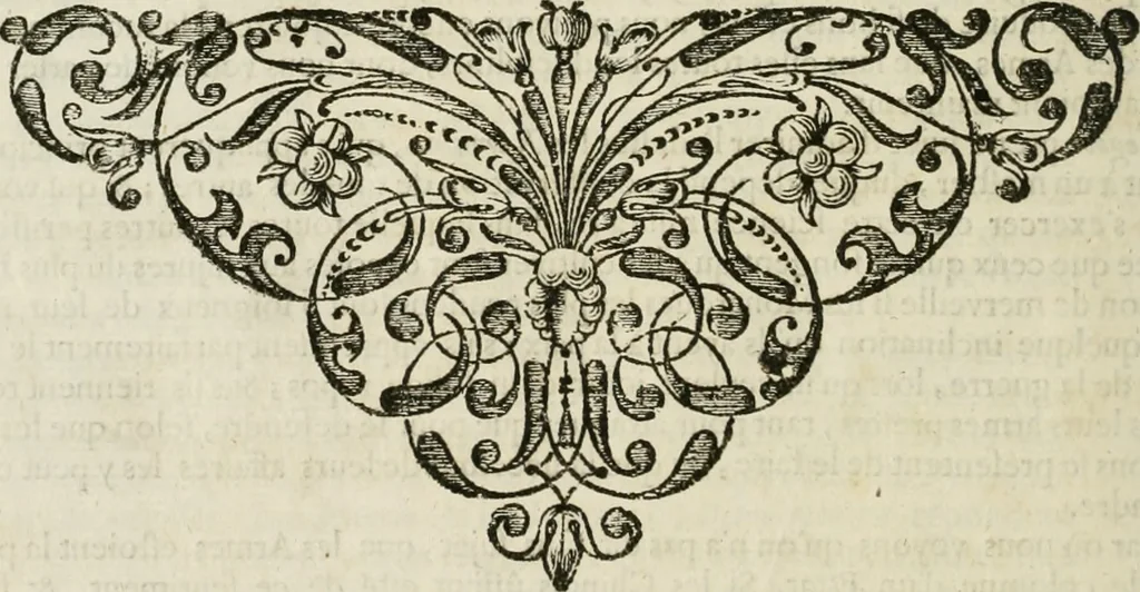 An illustration from L'ambassade de la Compagnie orientale des Provinces Unies vers l'empereur de la Chine, ou grand cam de Tartarie, faite par les Srs. Pierre de Goyer, & Jacob de Keyser, 1665, leaf 519