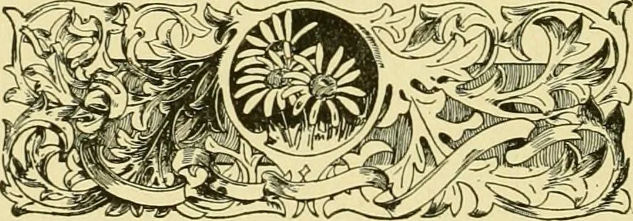 An illustration from Lamb's textile industry of the United States, embracing biographical sketches of prominment men and a historical résumé of the progress of textile manufacture from the earliest records to the present time;, 1911, leaf 233