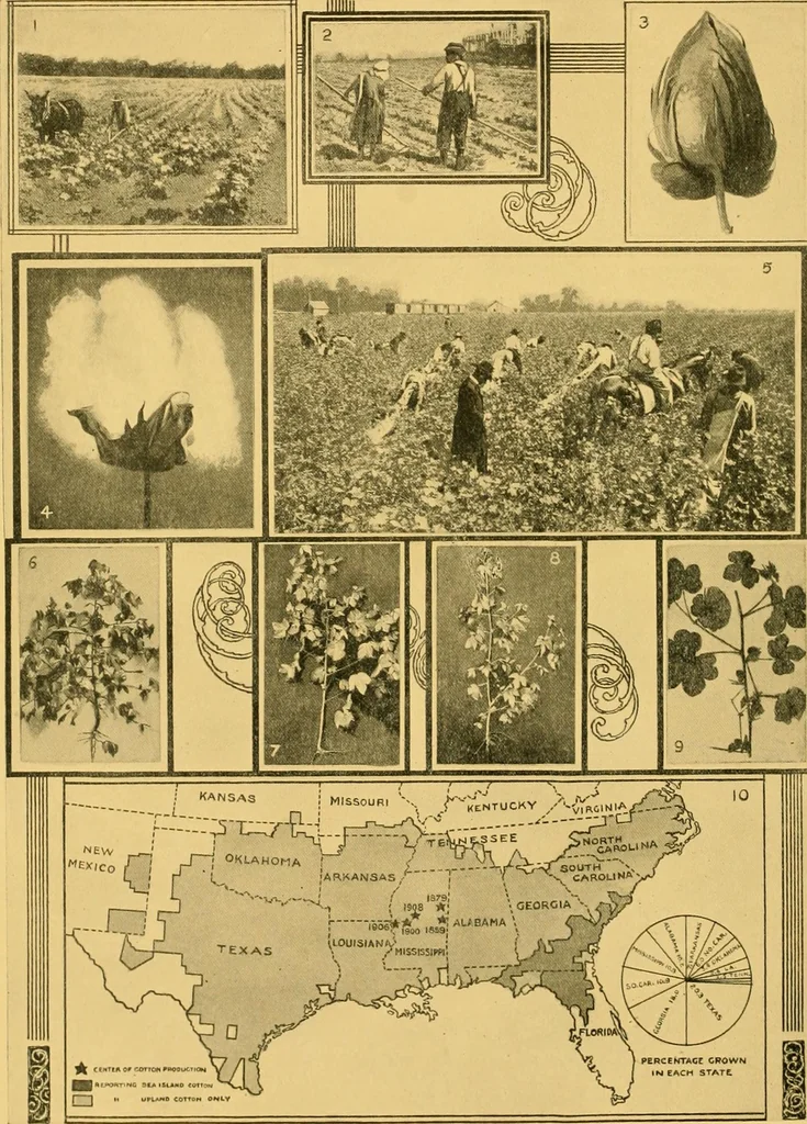 An illustration from Lamb's textile industry of the United States, embracing biographical sketches of prominment men and a historical résumé of the progress of textile manufacture from the earliest records to the present time;, 1911, leaf 27