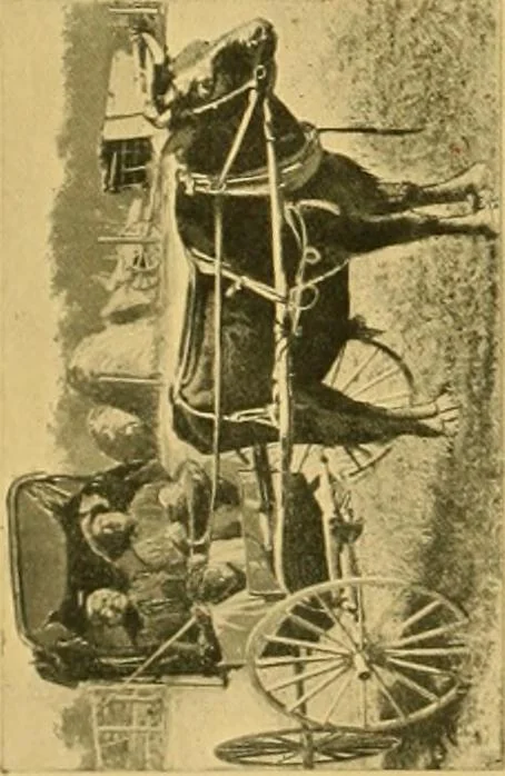 An illustration from Lamb's textile industry of the United States, embracing biographical sketches of prominment men and a historical résumé of the progress of textile manufacture from the earliest records to the present time;, 1911, leaf 61