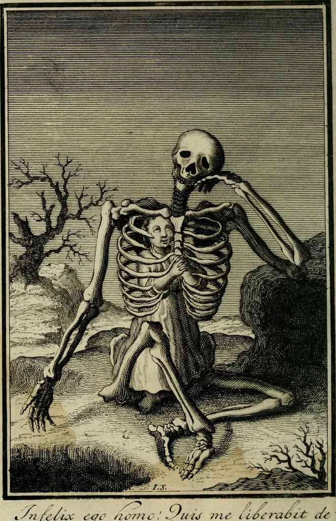 An illustration from L'ame amante de son Dieu, representée dans les emblémes de Hermannus Hugo sur ses pieux desirs: & dans ceux d'Othon Vaenius sur l'amour divin, 1717, leaf 299