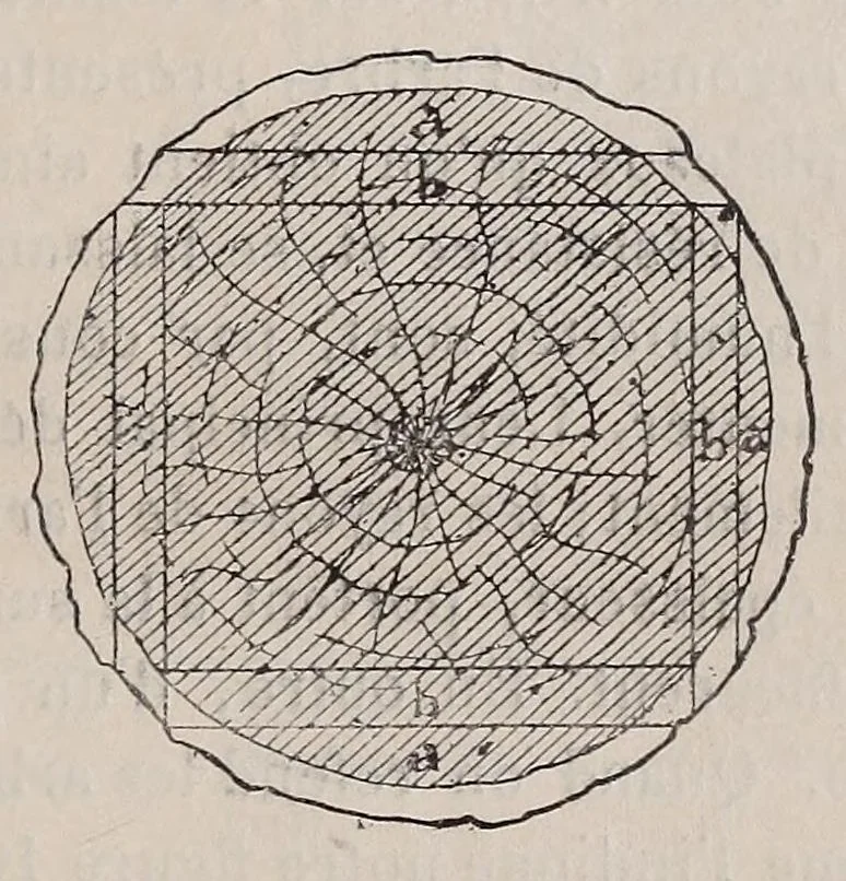 An illustration from La menuiserie, 1921, leaf 23
