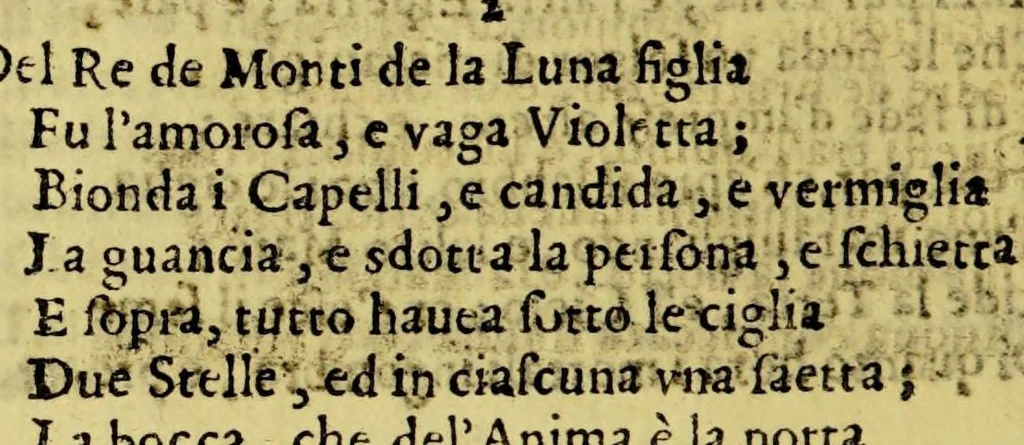 An illustration from L'America, 1611, leaf 48