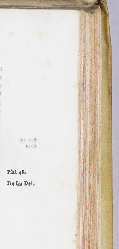 An illustration from L'America poema eroico, 1650, leaf 221
