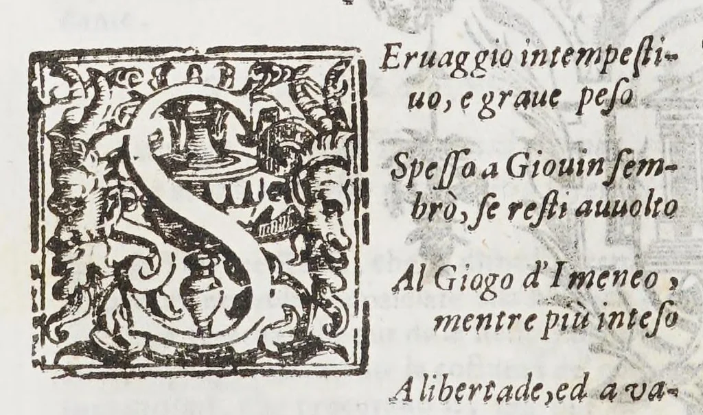 An illustration from L'America poema eroico, 1650, leaf 520